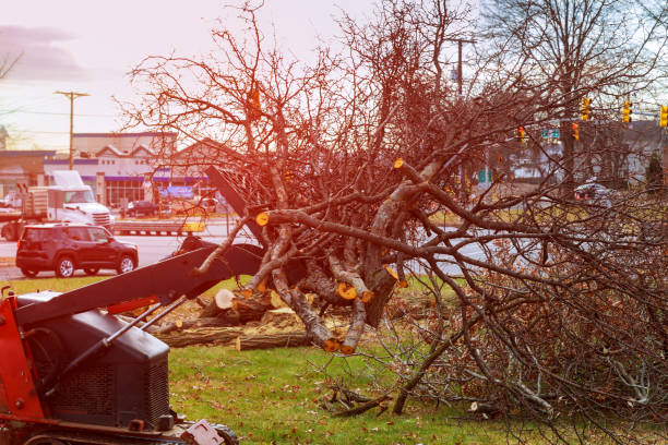 Mulching Services in Bernice, LA